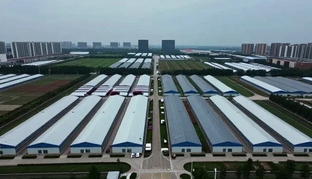 项目对接中的关键考量因素与实际操作要点